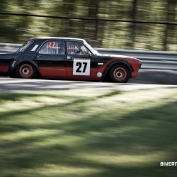 dzintara volga-4835